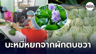 สุดยอดไอเดียคนไทย เเปลงโฉม"ผักตบชวา"ที่ดูไร้ค่า คิดสูตรทำเส้นบะหมี่หยก สุดยอดไอเดียคนไทย เเปลงโฉม"ผักตบชวา"ที่ดูไร้ค่า คิดสูตรทำเส้นบะหมี่หยก