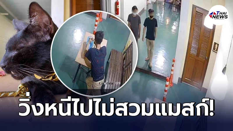ชาวบ้านงง ชายนิรนาม 2 ราย บุกฉกเจลแอลกอฮอล์ พร้อมสร้อย เสี่ยเก๋า ชาวบ้านงง ชายนิรนาม 2 ราย บุกฉกเจลแอลกอฮอล์ พร้อมสร้อย เสี่ยเก๋า