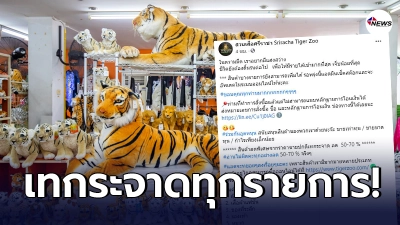 ชีวิตยังต้องดิ้นรนต่อไป สวนเสือศรีราชา เทขายสินค้าแบบขาดทุน