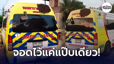 กู้ภัยฮือฮา จอดรถไว้แป๊บเดียว ผึ้งนับหมื่นตัว บินมาทำรังบนหลังคา กู้ภัยฮือฮา จอดรถไว้แป๊บเดียว ผึ้งนับหมื่นตัว บินมาทำรังบนหลังคา