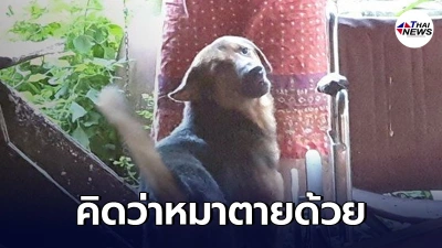 คุณยายวัย 62 ดับปริศนา หมาคู่ใจนอนนิ่งหลายชั่วโมง คิดว่าตายด้วย จู่ๆ ฟื้น