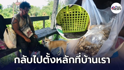 หนุ่มกระเตงแม่หมาเดินตากแดด ในตะกร้ามีลูกน้อยอีก 9 ตัว หวังกลับไปตั้งหลัก