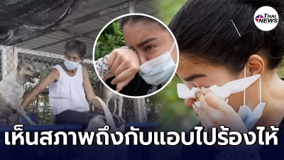 พิมรี่พายร่ำไห้ เห็นสภาพหมาแมว ที่ป้าน้อยเก็บมาเลี้ยง