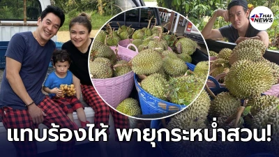 “ชาคริต แย้มนาม” แทบจะร้องไห้ หลังพายุกระหน่ำสวนทุเรียน เสียหายเป็นคันรถ