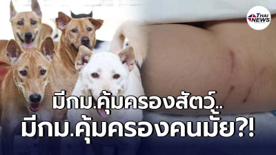 แม่เครียด ลูกวัย 6 ชวบเดินเล่นสวนสาธารณะ จู่ๆ โดนฝูงสุนัขจรจัดรุมกัด
