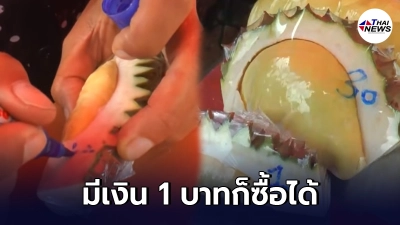 แม่ค้าร้านอาหาร ปิ๊งไอเดีย มาขายทุเรียนราคาถูก มีเงิน 1 บาทก็ซื้อได้ แม่ค้าร้านอาหาร ปิ๊งไอเดีย มาขายทุเรียนราคาถูก มีเงิน 1 บาทก็ซื้อได้