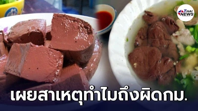 "เลือดหมูก้อน" ผิดกฎหมายในประเทศสิงคโปร์ ชี้เป็นแหล่งเติบโตเชื้อโรค "เลือดหมูก้อน" ผิดกฎหมายในประเทศสิงคโปร์ ชี้เป็นแหล่งเติบโตเชื้อโรค