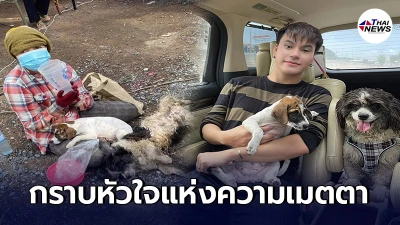 บูม ยุทธภูมิ ตัดสินใจเข้าช่วยสุนัข 2 ตัว หลังถูกคนใจร้ายจับมานั่งขอทาน บูม ยุทธภูมิ ตัดสินใจเข้าช่วยสุนัข 2 ตัว หลังถูกคนใจร้ายจับมานั่งขอทาน