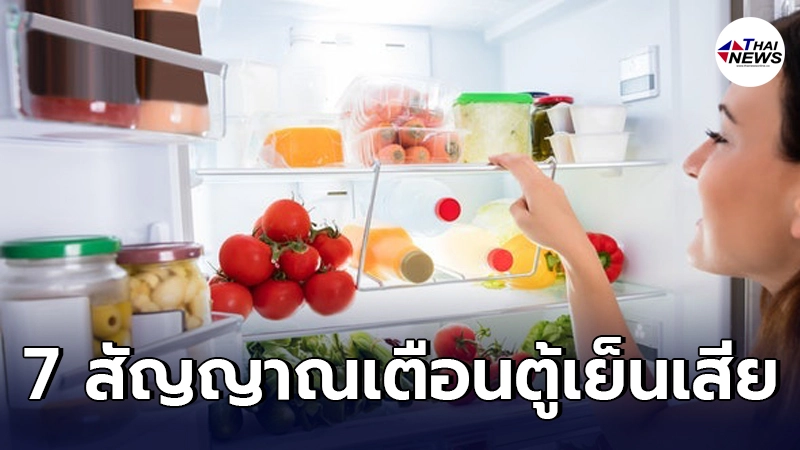 เผย 7 สัญญาณเตือนว่าตู้เย็นกำลังเสีย ปล่อยทิ้งไว้พังถาวร เผย 7 สัญญาณเตือนว่าตู้เย็นกำลังเสีย ปล่อยทิ้งไว้พังถาวร