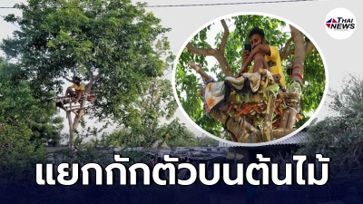 หนุ่มอินเดียป่วยโควิด กลัวติดคนในบ้าน สร้างเพิงบนต้นไม้ แยกกักตัว 12 วัน