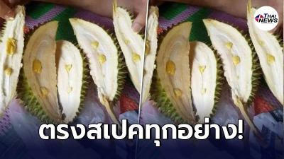หนุ่มเถียงไม่ออก หลังซื้อทุเรียน เปลือกบาง เม็ดเล็ก ตรงสเปคทุกอย่าง