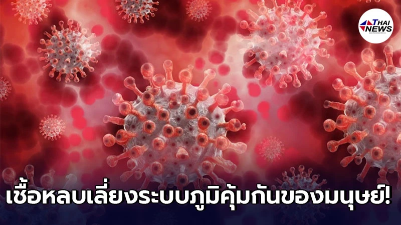 อิสราเอล ไขปริศนากลไกเชื้อโควิด-19 หลบเลี่ยงระบบภูมิคุ้มกันของมนุษย์ อิสราเอล ไขปริศนากลไกเชื้อโควิด-19 หลบเลี่ยงระบบภูมิคุ้มกันของมนุษย์