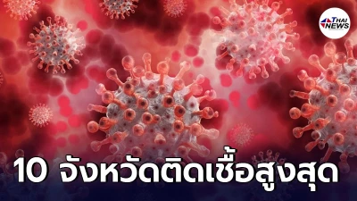 10 อันดับจังหวัดที่จำนวนผู้ติดโควิด-19 ในประเทศรายใหม่สูงสุด 29 พ.ค. 64