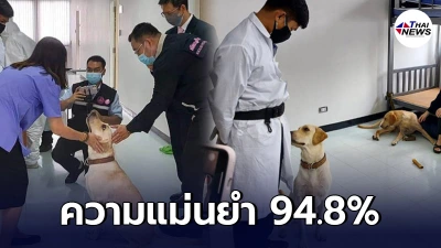 ใช้สุนัขดมกลิ่น ตรวจคัดกรองโควิด19 ดมเจอผู้ติดเชื้อ แม่นยำถึง 94.8%