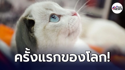 การผลิตวัคซีนโควิด-19 สำหรับ "สัตว์" ครั้งแรกของโลก ในรัสเซีย การผลิตวัคซีนโควิด-19 สำหรับ "สัตว์" ครั้งแรกของโลก ในรัสเซีย