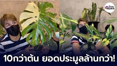 เคน ภูภูมิ เปิดประมูลต้นไม้สุดรัก บริจาคมูลนิธิรามาฯ กว่าล้าน ช่วยโควิด