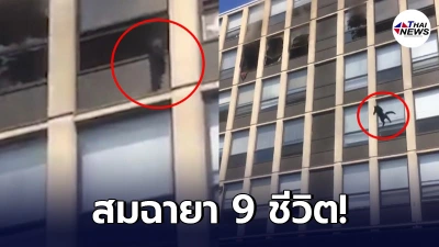 นาทีระทึก แมวดำโดดตึก 5 ชั้น หนีไฟไหม้ ทาสแมวหัวใจจะวาย