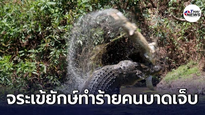 จระเข้ยักษ์ทำร้ายคนตกปลาในออสเตรเลียบาดเจ็บ จนท.เร่งควานหาตัว