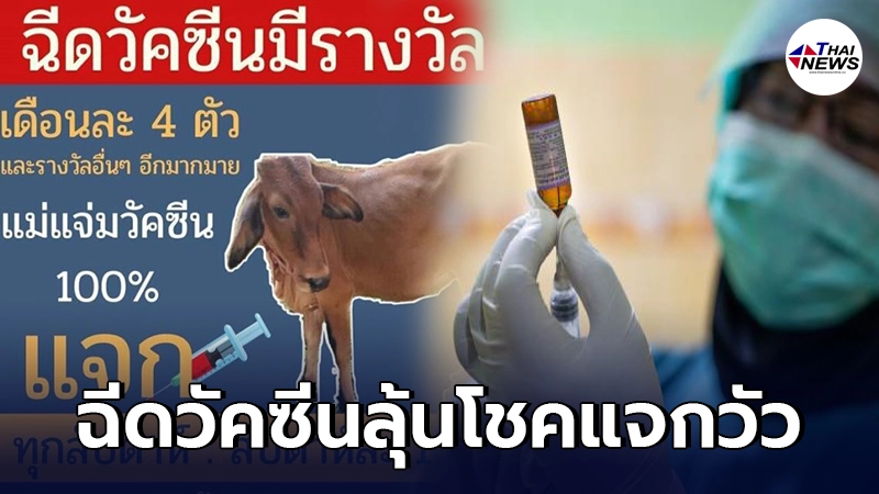 นายอำเภอแม่แจ่ม ชวนชาวบ้านฉีดวัคซีน แถมได้ลุ้นโชคแจกวัวสัปดาห์ละ 1 ตัว นายอำเภอแม่แจ่ม ชวนชาวบ้านฉีดวัคซีน แถมได้ลุ้นโชคแจกวัวสัปดาห์ละ 1 ตัว