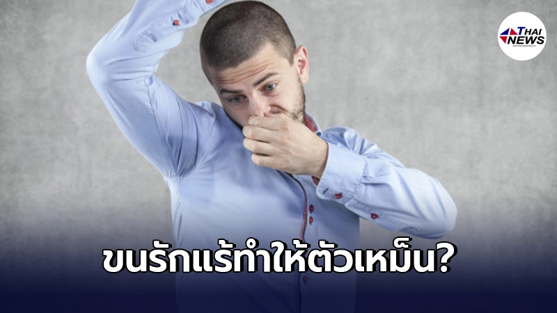 ไขข้อข้องใจ "ขนรักแร้" ทำให้ตัวเหม็น หรือเกิดกลิ่นตัวจริงหรือไม่? ไขข้อข้องใจ "ขนรักแร้" ทำให้ตัวเหม็น หรือเกิดกลิ่นตัวจริงหรือไม่?