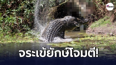 หนุ่มออสซี่ล่องเรือตกปลาถูกจระเข้ยักษ์ 5 เมตรกระโดดโจมตีถึงบนเรือ