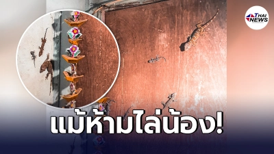 ลูกสาวกรี๊ดลั่นบ้าน เจอสัตว์เลี้ยงของคุณแม่มากันเป็นฝูง พร้อมโดนกำชับ ลูกสาวกรี๊ดลั่นบ้าน เจอสัตว์เลี้ยงของคุณแม่มากันเป็นฝูง พร้อมโดนกำชับ