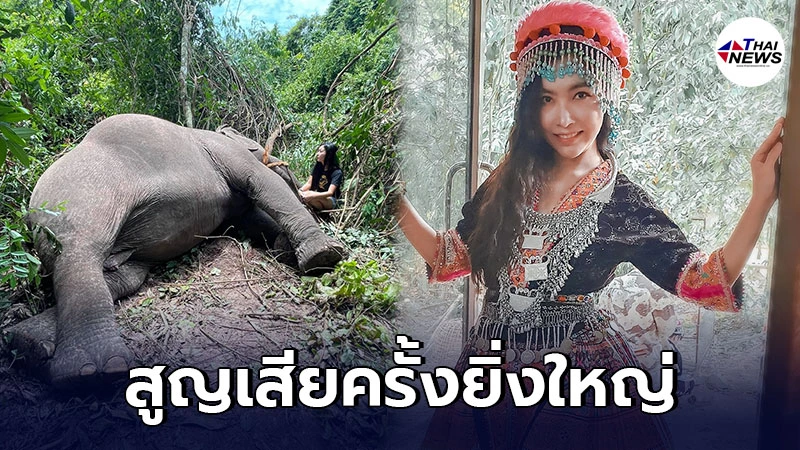 ลูกปัด ปุริมปรัชญ์ โพสต์สูญเสียครั้งยิ่งใหญ่ ช้างโดนฟ้าผ่าเสียชีวิต ลูกปัด ปุริมปรัชญ์ โพสต์สูญเสียครั้งยิ่งใหญ่ ช้างโดนฟ้าผ่าเสียชีวิต