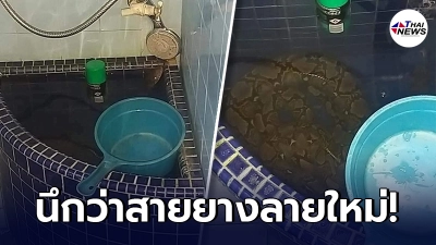 เจ้าของบ้านขวัญกระเจิง เปิดประตูเข้าห้องน้ำ สังเกตเห็นสายยางลายแปลกๆ เจ้าของบ้านขวัญกระเจิง เปิดประตูเข้าห้องน้ำ สังเกตเห็นสายยางลายแปลกๆ