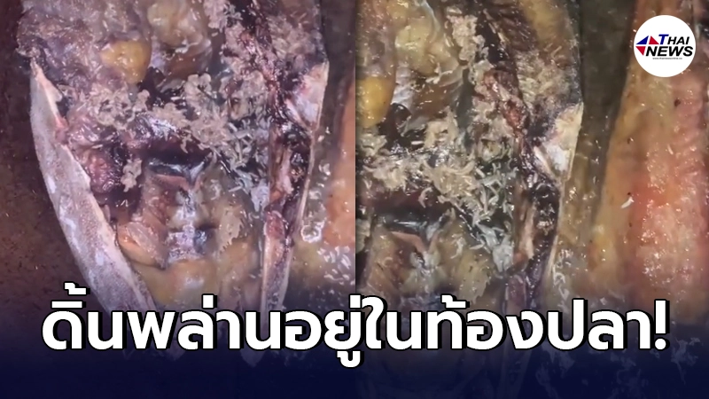 สาวซื้อปลาแดดเดียวมาจากตลาด ทอดได้ไม่นานความสยองโผล่ออกมาจากท้องปลา สาวซื้อปลาแดดเดียวมาจากตลาด ทอดได้ไม่นานความสยองโผล่ออกมาจากท้องปลา