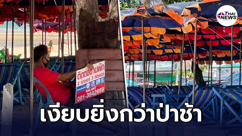 เปิดภาพผู้"ประกอบการเตียงผ้าใบ"ชายหาดชะอำ จากวันละหกพัน เหลือแค่สามร้อย เปิดภาพผู้"ประกอบการเตียงผ้าใบ"ชายหาดชะอำ จากวันละหกพัน เหลือแค่สามร้อย