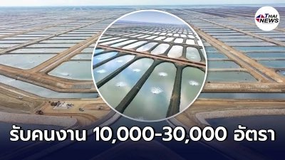 เปิดภาพ ฟาร์มปลาใหญ่ที่สุดในโลก จ้างงาน 10,000-30,000 ตำแหน่งในอียิปต์ เปิดภาพ ฟาร์มปลาใหญ่ที่สุดในโลก จ้างงาน 10,000-30,000 ตำแหน่งในอียิปต์