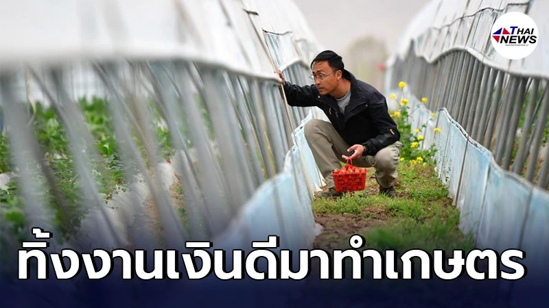 หนุ่มจีนทิ้งงานเงินดี พลิกที่ดินกว่า 2,000 ไร่ ทำเกษตรผสมผสานในกานซู่