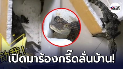 ครอบครัวจีน สั่งซื้อปลาออนไลน์ ใส่กล่องมาใหญ่ผิดปกติ เปิดออกมาแทบเสียสติ