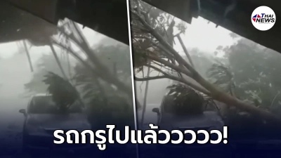 วินาทีสาวกรี๊ดสนั่น พายุถล่ม"ต้นไม้ล้มทับรถสุดรัก" ต่อหน้าต่อตา