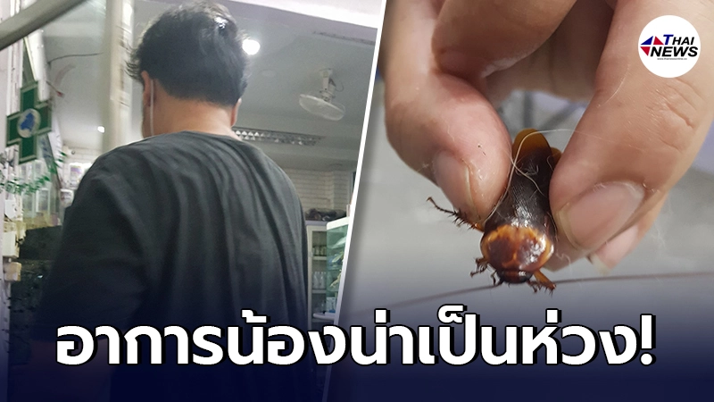 หนุ่มใจบุญ เห็นแมลงสาบริมถนน โดนเหยียบสาหัส รีบส่งหมอด่วน เผยอาการ 50/50 หนุ่มใจบุญ เห็นแมลงสาบริมถนน โดนเหยียบสาหัส รีบส่งหมอด่วน เผยอาการ 50/50