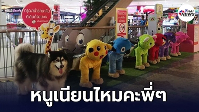 สุดเอ็นดู น้องหมาไปยืนเรียงแถวกับกลุ่มของเล่น ทำเนียนเหมือนเป็นตุ๊กตา