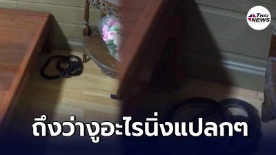 ดับเพลิงงานเข้าแต่เช้า ชาวบ้านโทรขอความช่วยเหลืองูเข้าบ้านหลบในมุมมืดๆ