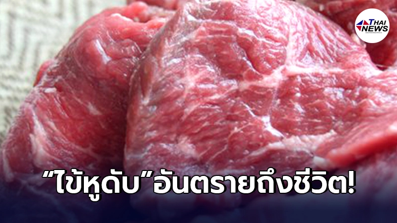 ทำความรู้จัก"ไข้หูดับ"ใครชอบกินหมูดิบ เสี่ยงหูหนวกถาวร ถึงขั้นเสียชีวิต ทำความรู้จัก"ไข้หูดับ"ใครชอบกินหมูดิบ เสี่ยงหูหนวกถาวร ถึงขั้นเสียชีวิต