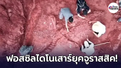 จีนค้นพบฟอสซิลไดโนเสาร์ จากยุคจูราสสิค มีความสมบูรณ์ร่วม 70%