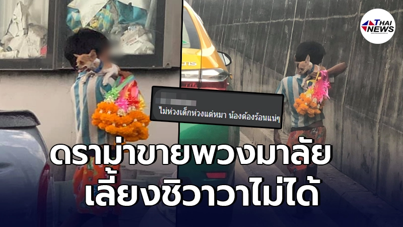 ชาวเน็ตสวมบทโคนัน ถกสนั่น ภาพเด็กชายขายพวงมาลัยอุ้มชิวาวา ชาวเน็ตสวมบทโคนัน ถกสนั่น ภาพเด็กชายขายพวงมาลัยอุ้มชิวาวา
