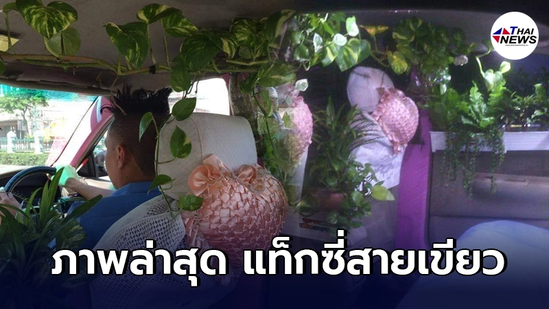 เปิดภาพล่าสุดแท็กซี่สายเขียวที่เคยเป็นข่าวดัง ยังคงคอนเซ็ปต์เดิม เปิดภาพล่าสุดแท็กซี่สายเขียวที่เคยเป็นข่าวดัง ยังคงคอนเซ็ปต์เดิม