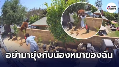 สาววัย17ใจกล้า เสี่ยงชีวิตสู้กับหมียักษ์มือเปล่า ปกป้องสุนัขสุดที่รัก