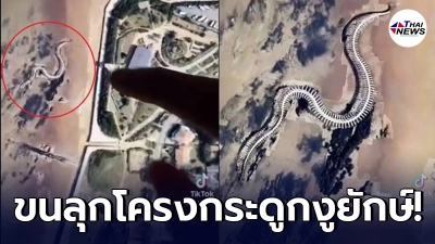 หนุ่มขนลุก เปิด Google Earth เจอโครงกระดูกงูยักษ์ ใหญ่ระดับมหึมา หนุ่มขนลุก เปิด Google Earth เจอโครงกระดูกงูยักษ์ ใหญ่ระดับมหึมา
