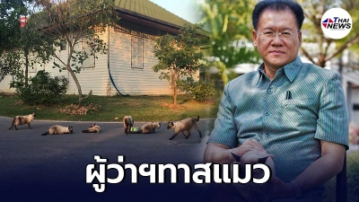 ผู้ว่าฯวิเชียร เก็บแมวที่เลี้ยงไว้ในจวน ย้ายไปรับตำเเหน่งผู้ว่าฯชัยภูมิ