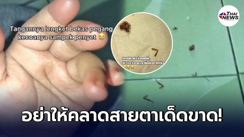 คุณแม่อินโดฯร้องแทบไม่เป็นภาษา ให้ลูกนั่งเล่น หันไปอีกทีเจอซากแมลงสาบ คุณแม่อินโดฯร้องแทบไม่เป็นภาษา ให้ลูกนั่งเล่น หันไปอีกทีเจอซากแมลงสาบ