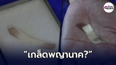 เผยคลิปวัตถุประหลาด สามารถคดงอได้เองบนมือคน เชื่อเป็น"เกล็ดพญานาค" เผยคลิปวัตถุประหลาด สามารถคดงอได้เองบนมือคน เชื่อเป็น"เกล็ดพญานาค"
