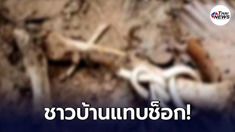 ชาวบ้านเข้าป่าเก็บเห็ด กลับเจอชิ้นส่วนโครงกระดูกคล้ายคน ชาวบ้านเข้าป่าเก็บเห็ด กลับเจอชิ้นส่วนโครงกระดูกคล้ายคน