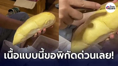 สาวยอมจ่าย เสียเงิน 500 ได้ทุเรียนหมอนทองมาลิ้มลอง ชาวเน็ตถึงขอพิกัดด่วน สาวยอมจ่าย เสียเงิน 500 ได้ทุเรียนหมอนทองมาลิ้มลอง ชาวเน็ตถึงขอพิกัดด่วน