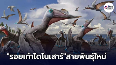 พบ"รอยเท้าไดโนเสาร์" สายพันธุ์ใหม่ อายุมากถึง 135 ล้านปี