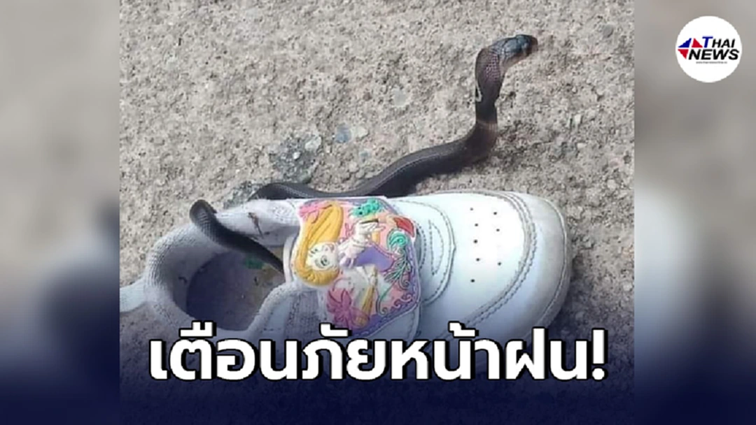 พ่อแม่ใจหาย กำลังจะให้ลูกน้อยใส่รองเท้า ฉับพลันสัมผัสได้ถึงลูกงูเห่า